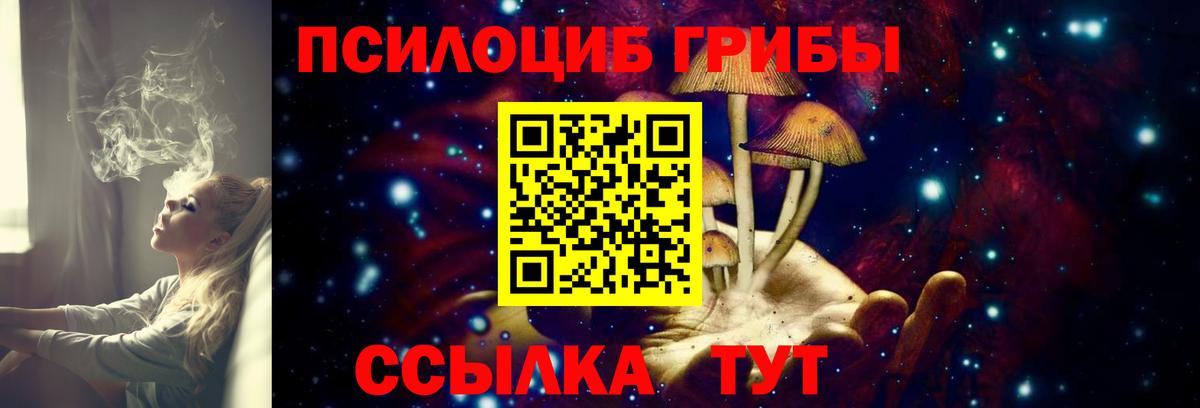 Галлюциногенные грибы мухоморы  Вход с VPN  Шахты  Галлюциногенные грибы Cubensis 